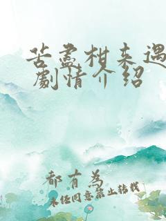 苦尽柑来遇见你 剧情介绍