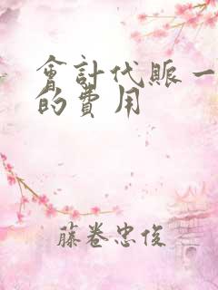 会计代账一个月的费用