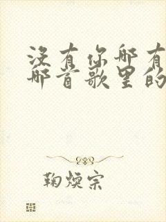 没有你哪有我是哪首歌里的歌词