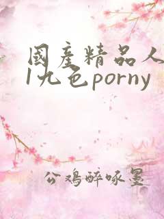 国产精品人妻91九色porny