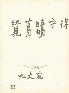 终有时守得云开见月明