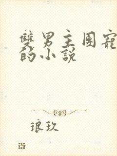 双男主团宠崽崽的小说