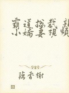 霸道总裁 亲吻小娇妻视频