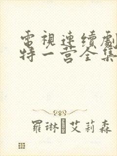 电视连续剧我的特一营全集完整版