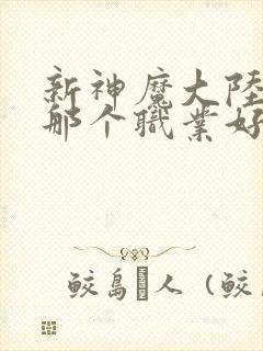 新神魔大陆手游那个职业好