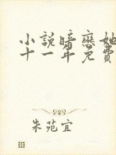 小说暗恋她的第十一年免费看