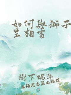 如何与狮子座女生相处