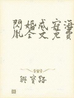 闪婚成宠海彤战胤全文免费
