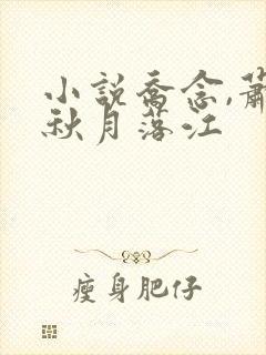 小说乔念,萧衡秋月落江