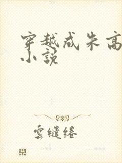 穿越成朱高炽的小说