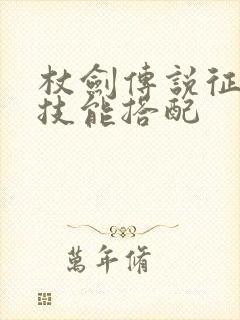 杖剑传说征服者技能搭配