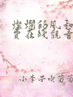 灿烂的风和海免费在线观看