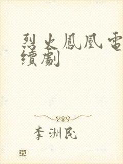 烈火凤凰电视连续剧