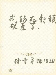 我的死对头终于破产了.