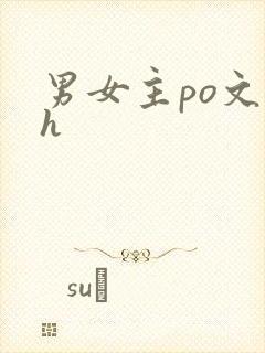 男女主po文高h