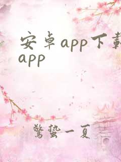 安卓app下载app