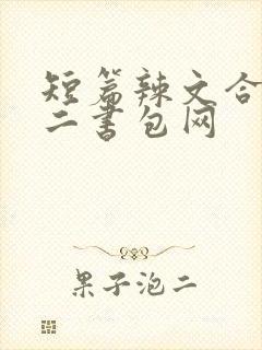 短篇辣文合集第二书包网
