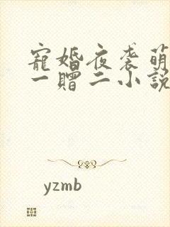 宠婚夜袭萌妻买一赠二小说