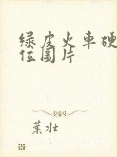 绿皮火车硬座座位图片