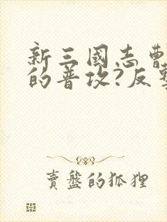 新三国志曹操传的普攻?反击攻略