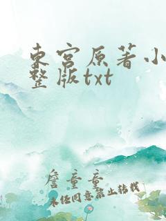 东宫原著小说完整版txt