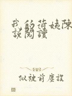 我的荷姨陈东小说阅读