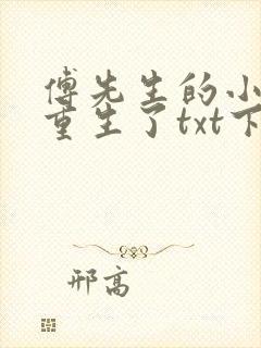 傅先生的小祖宗重生了txt下载