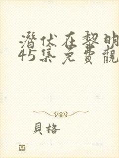 潜伏在黎明之前45集免费观看