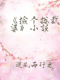 《捡个总裁做老婆》小说