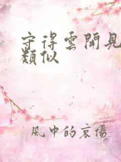 守得云开见月明类似