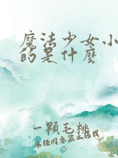 魔法少女小圆讲的是什么