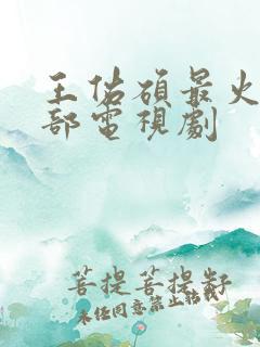 王佑硕最火的十部电视剧