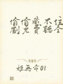 偷偷藏不住广播剧免费听全集