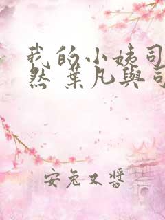 我的小姨司空嫣然 叶凡与司空嫣然章节