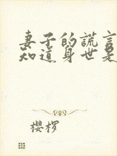 妻子的谎言一明知道身世是哪一集