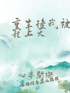 重生后我被大佬宠上天