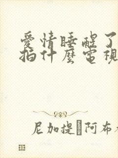 爱情睡醒了是翻拍什么电视剧