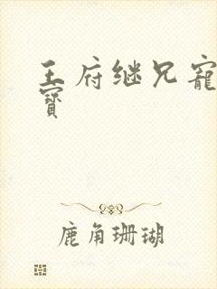 王府继兄宠我如宝