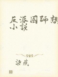 反派国师想转正小说