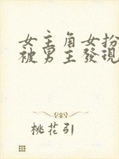 女主角女扮男装被男主发现