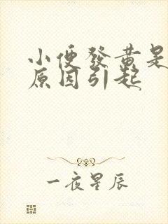 小便发黄是什么原因引起