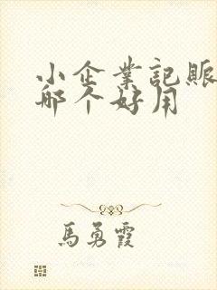 小企业记账软件哪个好用