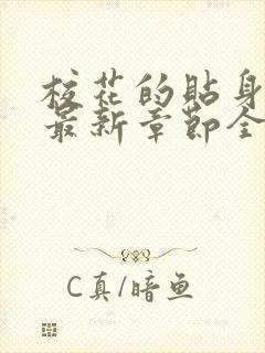 校花的贴身高手最新章节全文免费阅读无弹窗