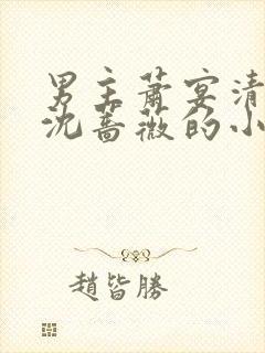 男主萧宴清女主沈蔷薇的小说