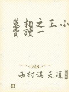 万相之王小说免费读一