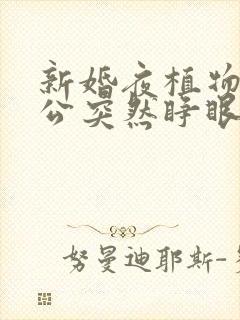 新婚夜植物人老公突然睁眼