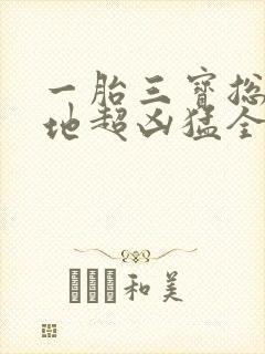 一胎三宝总裁爹地超凶猛全集下载