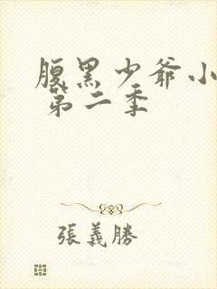 腹黑少爷小甜妻 第二季