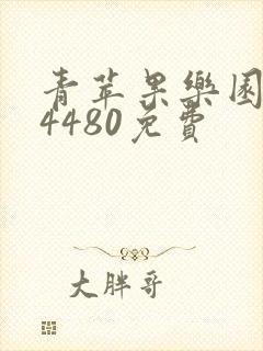 青苹果乐园yy4480免费