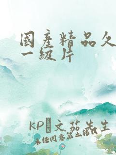 国产精品久久久一级片